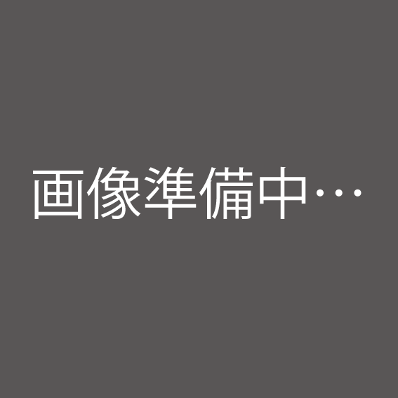 画像準備中